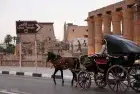 Luxor Horse Carriage Evening Tour — The Ancient City at Dusk